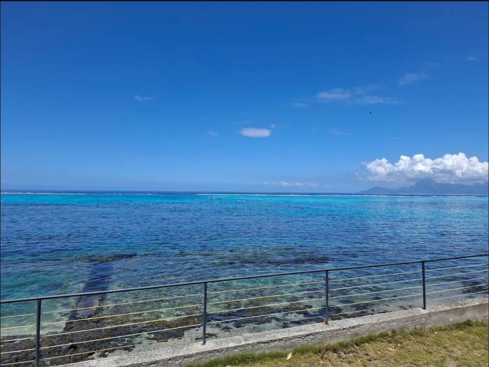 Le lagon turquoise et le récif devant la pension
