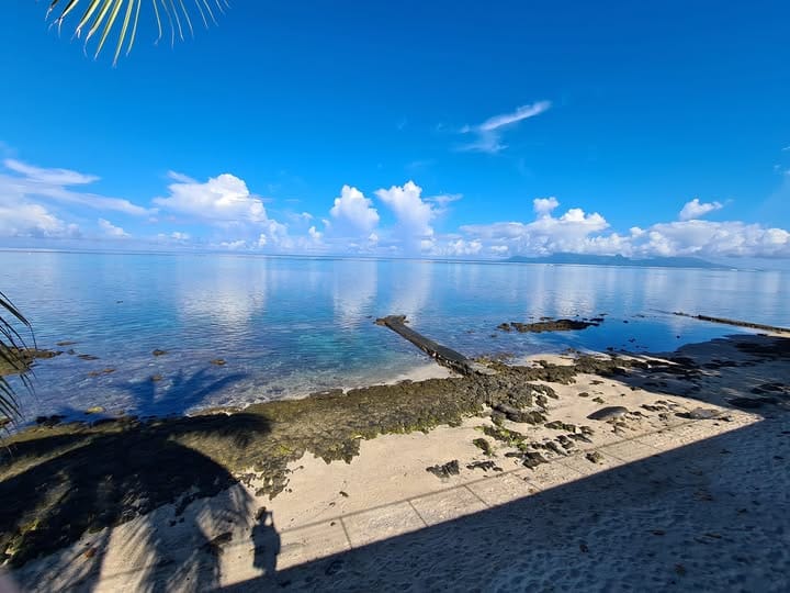 Le lagon au matin, l'ombre du cocotier sur le sable et le récif au large