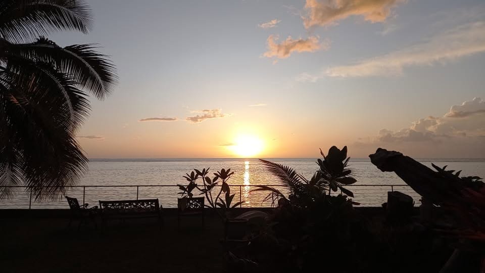 Le soleil se couche derrière les cocotiers du jardin
