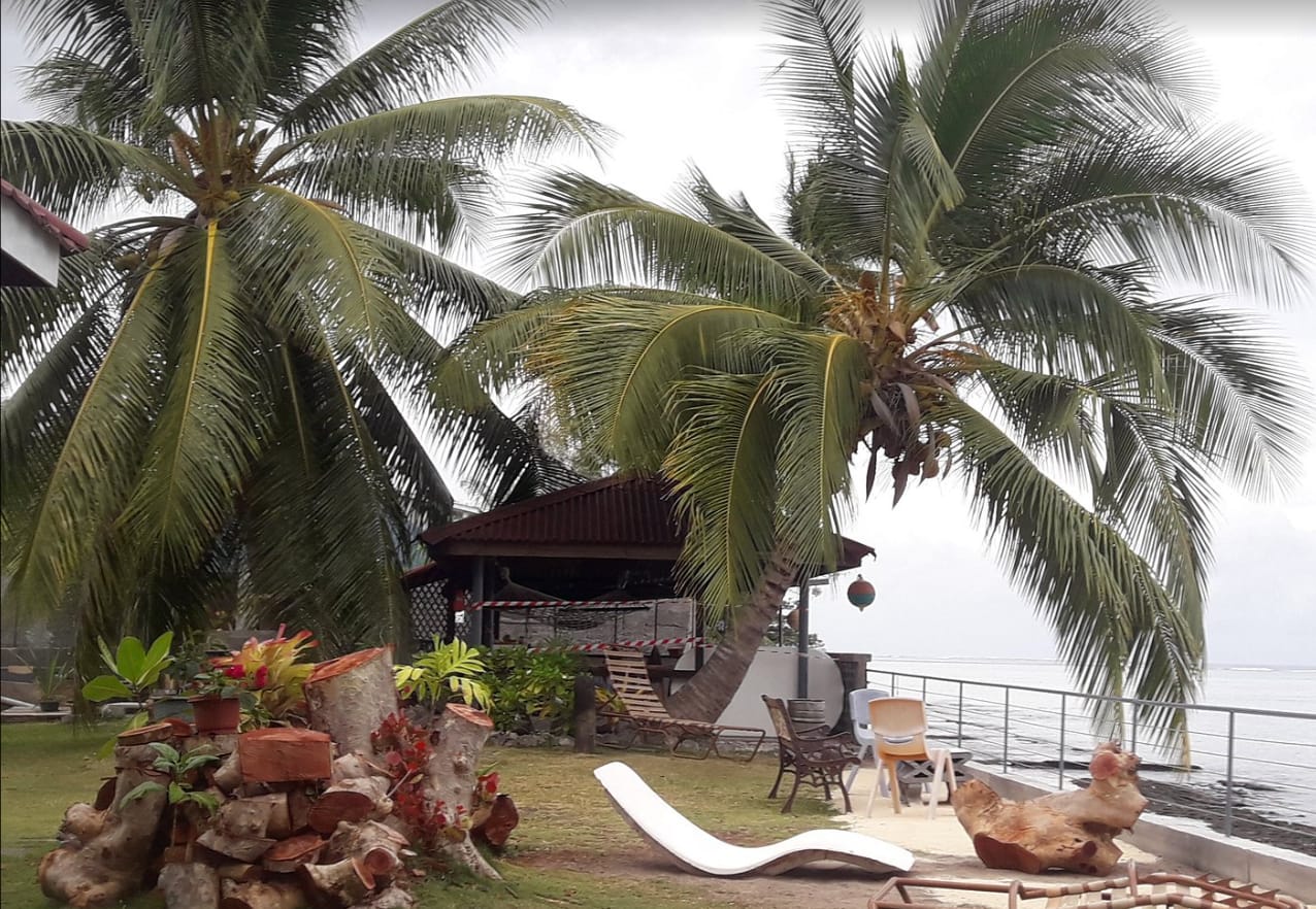 Le jardin du lodge, le fare potee et les cocotiers en bord de mer