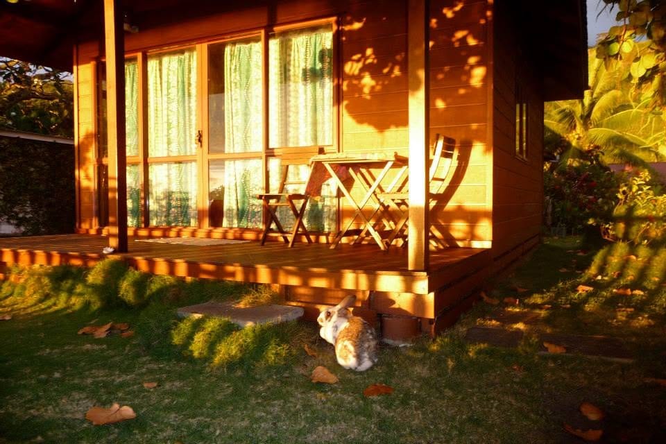 La terrasse d'un bungalow à l'heure dorée, un lapin dans l'herbe